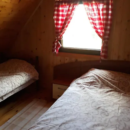 Zorana Σπίτι διακοπών Bajina Basta