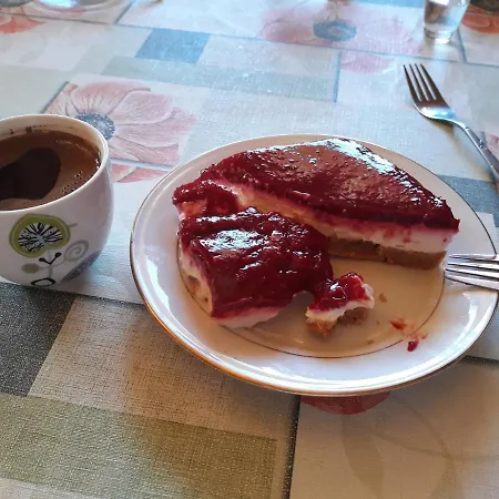 Zorana Semesterbostad Bajina Basta