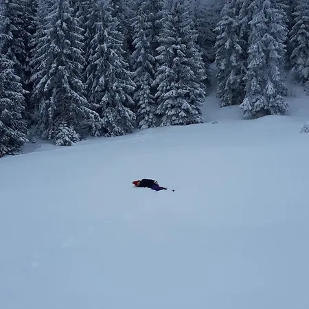 Zorana バイナ・バシュタ