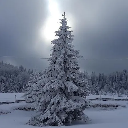 別荘 Zorana バイナ・バシュタ