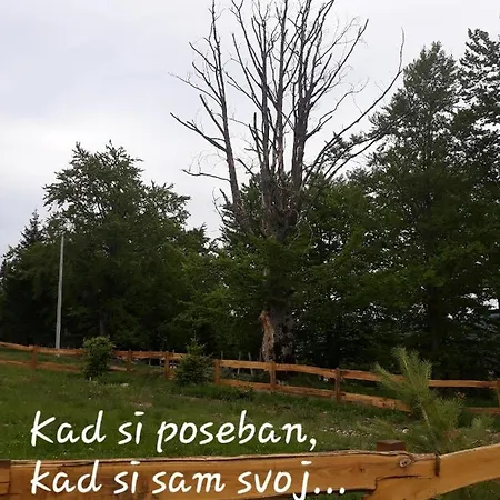 Zorana Semesterbostad Bajina Basta