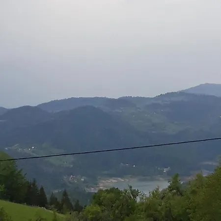 Zorana *