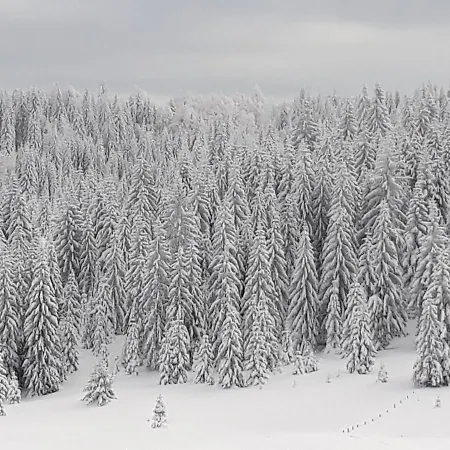 別荘 Zorana バイナ・バシュタ