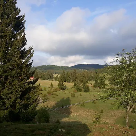 Semesterbostad Zorana *