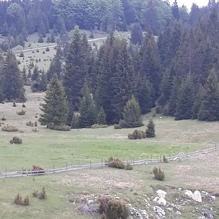 Zorana *