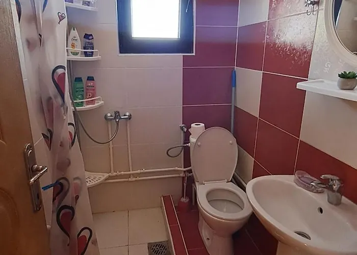 Zorana * باغينا باستا