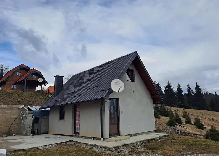 Zorana باغينا باستا