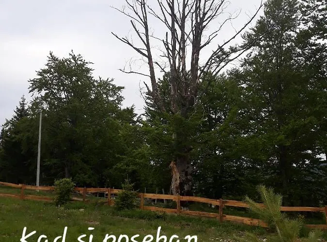 Zorana بيت للعطل باغينا باستا