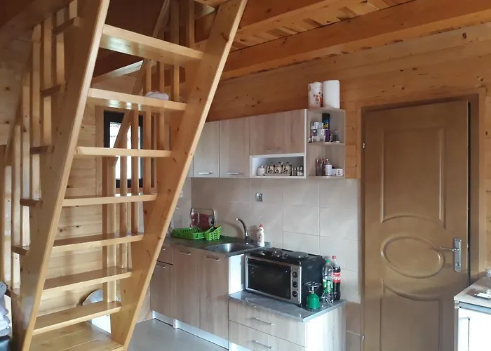 Zorana باغينا باستا