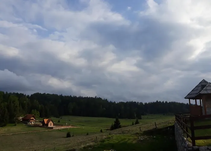 Zorana باغينا باستا